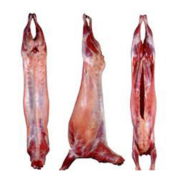 Fresh Goat Meat from 몽골 supplied by Bulganmeat Market - Without Head (= Headless) 산양육