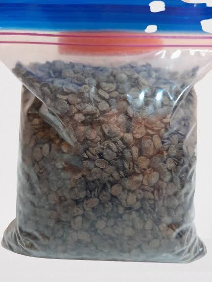 Locust Beans from 나이지리아 supplied by AMAT Foods - 세뇨리타 말린 일반 콩