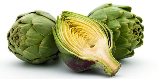 Artichoke from 미국 supplied by RYECO, LLC. - Whole 신선 아티초크