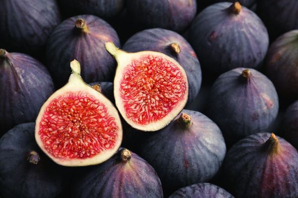 Fresh Fig from 튀르키예 supplied by Nilufer Gida - Purple 신선 무화과