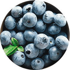 Frozen Blueberry from 미국 supplied by Alasko Frozen Foods - IQF (=Individual Quick Freezing) 냉동 블루베리