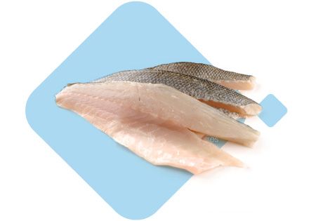 Tilapia from Spain supplied by Congelados Videmar SL - Nile Tilapia (=Oreochromis niloticus) Frozen Tilapia