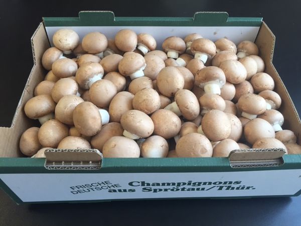 Porcini Mushroom from Germany supplied by Sprötauer Champignon GmbH - Foodtainer & Tray Porcini Mushroom