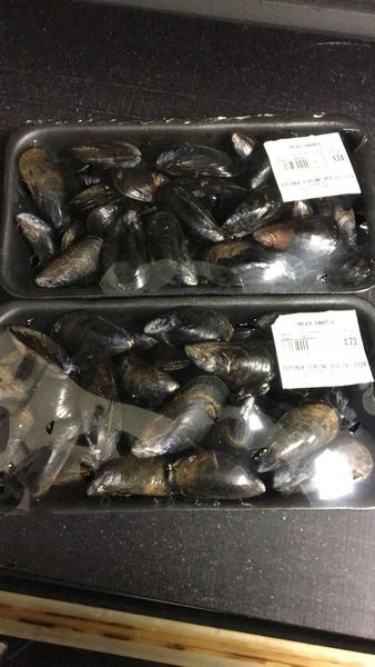 Fresh Mussel from 캐나다 supplied by Cusimer - Common Blue Mussel (=Mytilus edulis=Common Mussel=Edible Blue Mussel) 냉동 홍합