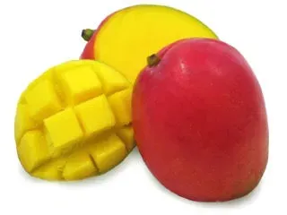 Fresh Mango from Netherlands supplied by Fruitpartner - Reddish Fresh Mango