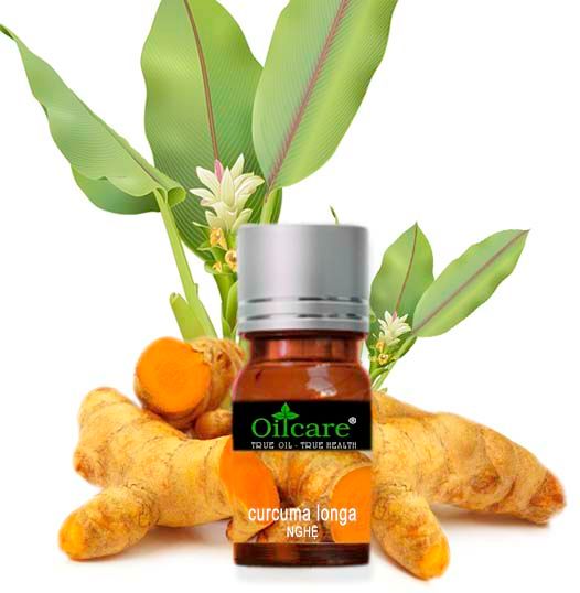Turmeric Essential Oil from 베트남 supplied by Oil Care Company Limited - Glass Jar (=Glass Bottle) 튜메릭 오일