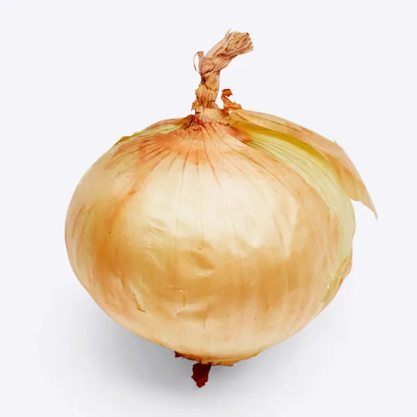 onion from Netherlands supplied by Mulder Onions - Fresh (=Chilled) Fresh Onion