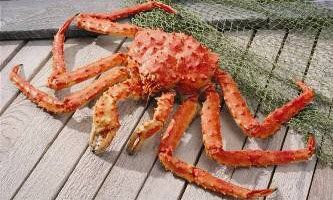 Frozen King Crab from France supplied by Sovintex - Legs Frozen Crab