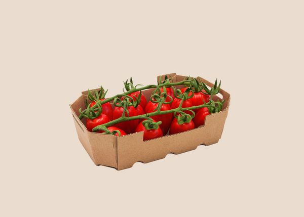 Baby Plum Tomatoes from Italy supplied by Vittoria tomatoes - Plum Varieties - Baby Plum Fresh Tomato