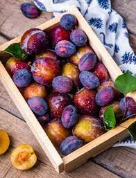 Plum from 세르비아 supplied by ML Fruit Farm d.o.o. - Plum - Bistrica (=Pozegača=Hauszwetsche) 신선 자두