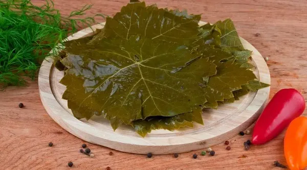 Grape Leaves from Turkiye supplied by Metsa - Preserved - in Brine Vine Leaves