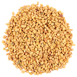 Fenugreek Seed from India supplied by Spice Essence International LLP - Class 4 Fenugreek Seed