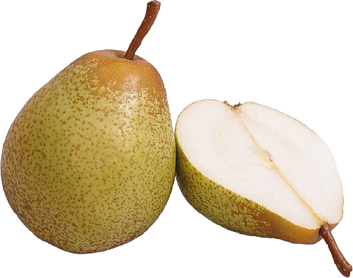 Rocha Pear from Portugal supplied by Coopval - Cooperativa Agrícola dos Fruticultores do Cadaval, CRL. - Carton Box (=Cardboard Box) Fresh Pear