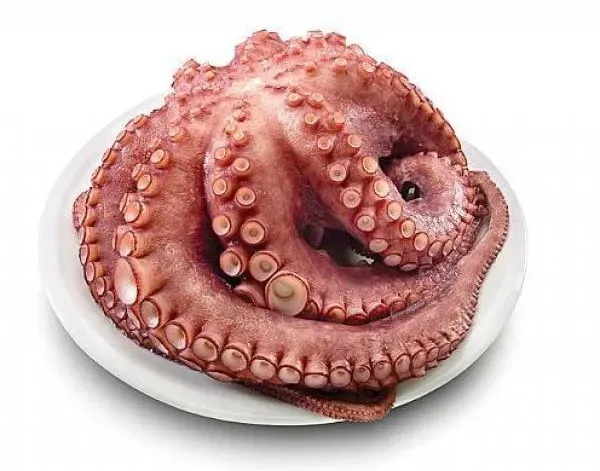 Frozen Octopus from Portugal supplied by Quadragel - Trade of Frozen Products, Lda. - Frozen Frozen Octopus