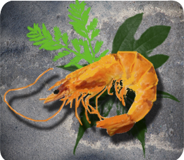 frozen shrimp from 스페인 supplied by Grupo Don Langostino - Don Langostino Investment, S.L - Shell On (=Unpeeled) 냉동 새우