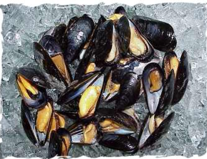 Frozen Whole Shell Mussel from 미국 supplied by Always Fresh Fish.com / Ron Smith Seafood Inc. - Whole (=In Shell=Unshucked) 냉동 홍합