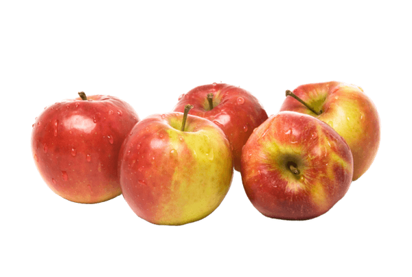Apple - Jonagold from Netherlands supplied by Blijderveen Fruit - Dessert Apple Fresh Apple