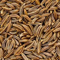 Caraway Seed from 리투아니아 supplied by M.D.M BALTIC - Seed 캐러웨이 씨