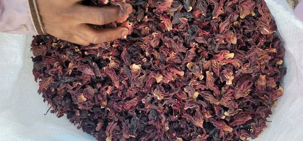 Hibiscus Flower from 나이지리아 supplied by Burgeon Farms and Agro Industries Limited - 로젤(=Gongura=Hibiscus Sabdariffa) 히비스커스