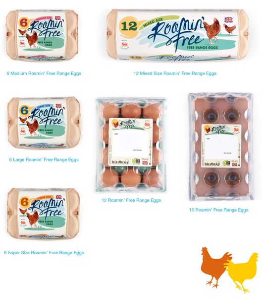 Eggs from United Kingdom supplied by Bird Bros Ltd - Raw Chicken Egg