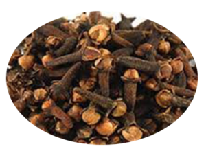 Clove from 이집트 supplied by DELTA SPICE EGY - Whole 통정향