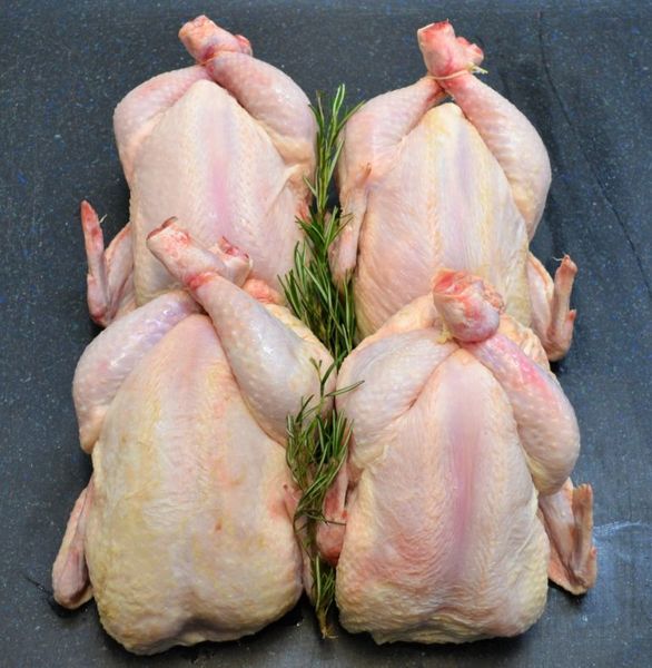 Fresh Chicken Meat from 포르투갈 supplied by Meatrading - Leg Quarter 냉동 미절단 닭고기