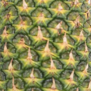 Pineapple Color 1 from 코스타리카 supplied by Exportaciones Norteñas S.A. - Fresh (=Chilled) 신선 파인애플