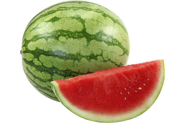 Watermelon from 스페인 supplied by Santiago Apóstol Cooperative - Valencia Melon (=Green Valencia=Valencia Winter Melon) 신선 수박