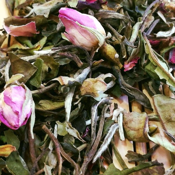 Herbal Tea from 중국 supplied by THE CHA YUAN INTERNATIONAL - Rooibos 허브차