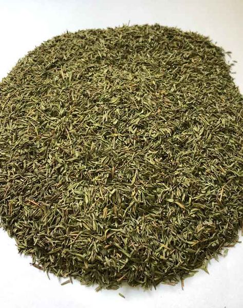 Thyme from 이집트 supplied by Agricola international - Culinary 타임