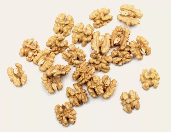 Walnut from 이탈리아 supplied by Aziende campobasso - Shelled (=Kernel) 생호두