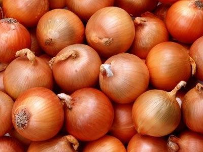 Fresh Onion from Egypt supplied by Egypt Garden - Red Pearl Onion