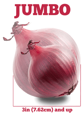 Onion from 미국 supplied by ProSource, Inc. - Raw 신선 양파