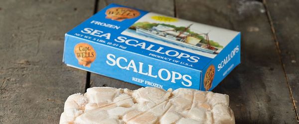 Frozen Scallop from 미국 supplied by Seatrade International Company, Inc - Meat Only (=Shelled=Shucked) 냉동 가리비