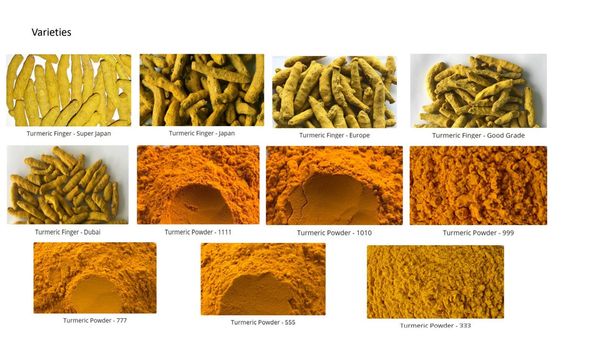 Turmeric from India supplied by Evolving Roots LLP  & Iris Products Pvt. Ltd. - Nizamabad Bulb Turmeric