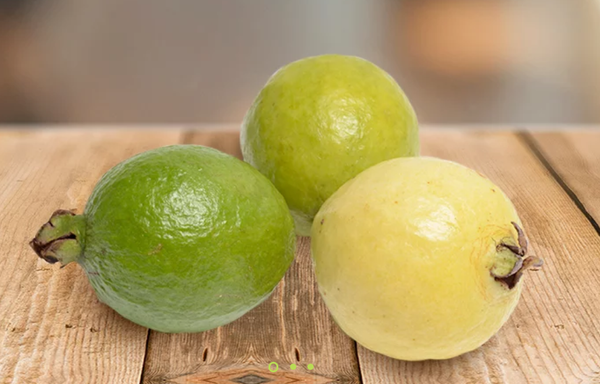 Fresh Guava from 멕시코 supplied by Freshcourt - Fresh (=Chilled) 신선 구아바