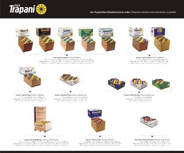 Lemon from 아르헨티나 supplied by F.G.F Trapani S.A. - Box (18 kg) 신선 레몬