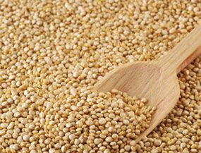 Sesame Seeds from 에티오피아 supplied by Zablon Group PLC - Brown (=Golden=Yellow) 참깨