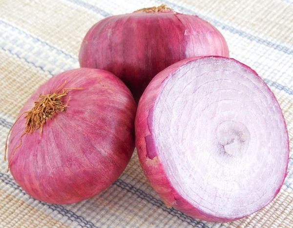 onion from India supplied by Prathmesh enterprise - Fresh (=Chilled) Fresh Onion
