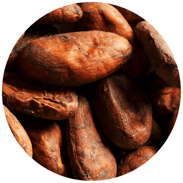 Cocoa Bean from 영국 supplied by Olam Europe BV - 신선함(=냉장) 코코아콩