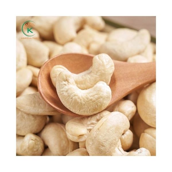 Vietnam Cashew Kernels W240 from Vietnam supplied by K Agriculture - WW240 (=White Wholes 240) Cashew Nut Kernel
