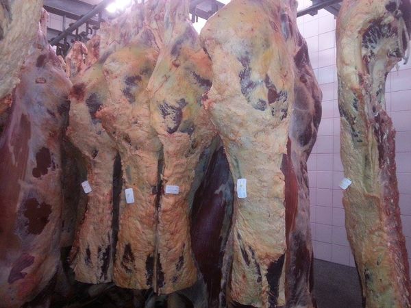 Raw beef from Poland supplied by P.P.H.U. BIELA - Stanisław Biela - Without Head (=Headless) Fresh Whole Beef