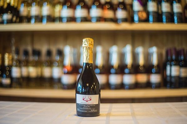 Domaine Bel-Chas Fortifié Rouge from Canada supplied by Vignoble Domaine Bel-Chas - Red Wine