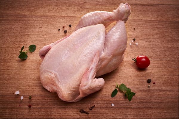 Chicken Whole from 우크라이나 supplied by Qualiko - White Chicken 냉동 미절단 닭고기