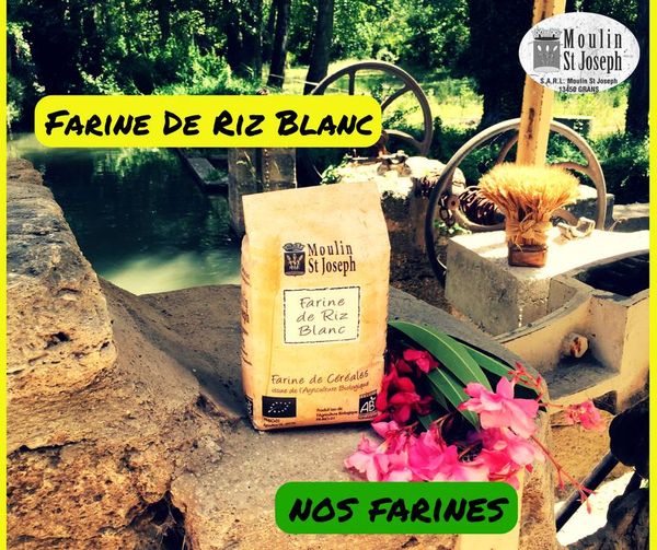 White Rice Flour from 프랑스 supplied by MOULIN SAINT-JOSEPH S.A.R.L. - White 쌀가루