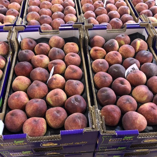 Fresh Plum from Spain supplied by Torrebaja Fruits - Fresh (=Chilled) Fresh Plum