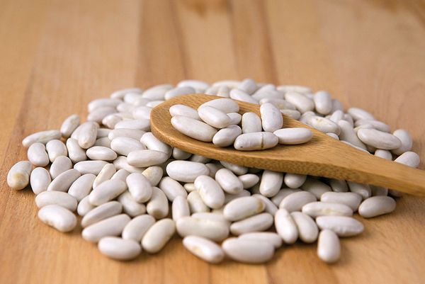 CANNELLINI OR WHITE KIDNEY BEANS from 스페인 supplied by Codilex - 카넬리니 말린 강낭콩