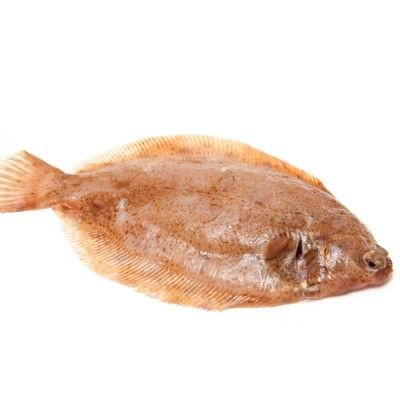 Fresh Lemon Sole from 영국 supplied by Couper Seafoods Ltd - Lemon Sole (=Microstomus kitt) 냉동 솔피쉬