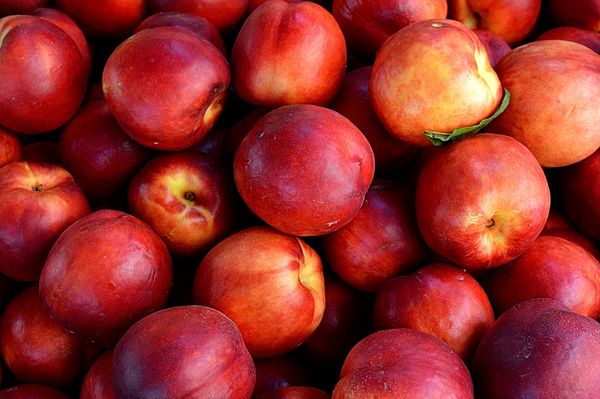 Fresh Whole Nectarine from 그리스 supplied by PAPADIMAS, D., - B. REVAS SA - Whole 신선 천도복숭아
