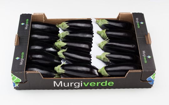 Organic Aubergine from 스페인 supplied by MurgiVerde Soc. Coop. Andaluza - Conventional 가지